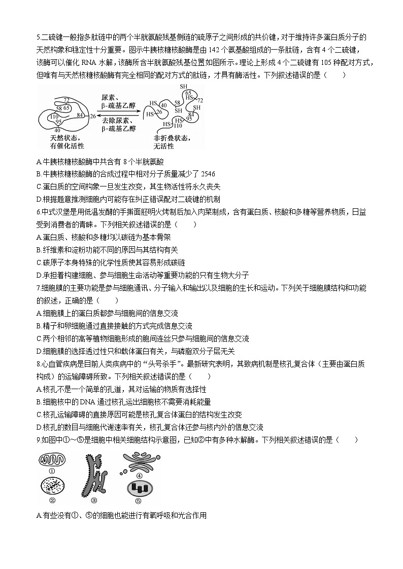 新疆维吾尔自治区喀什第二中学2024-2025学年高三上学期9月月考生物试卷第2页