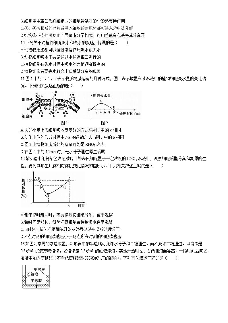 新疆维吾尔自治区喀什第二中学2024-2025学年高三上学期9月月考生物试卷第3页