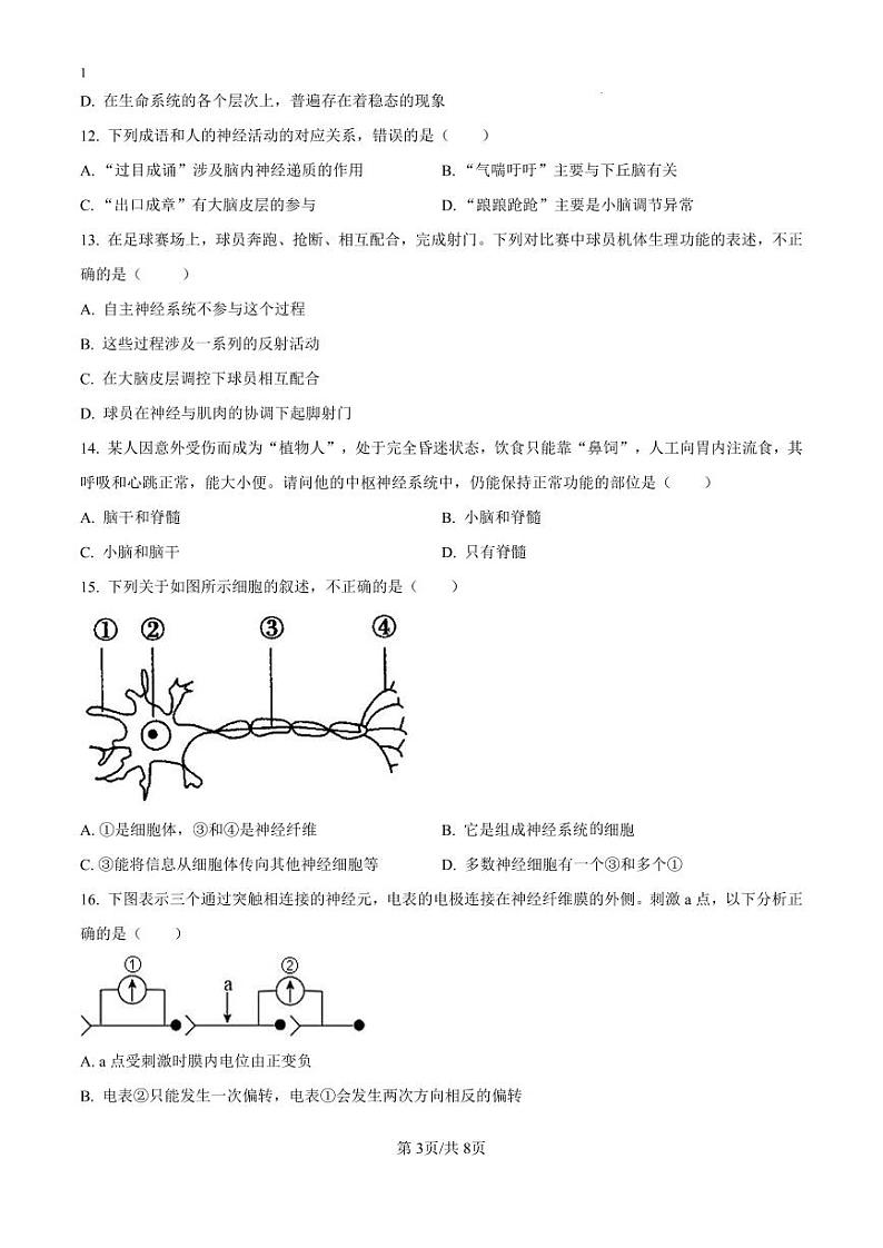 精品解析：河北省廊坊第八高级中学2024-2025学年高二上学期9月月考生物试卷（原卷版）_create03