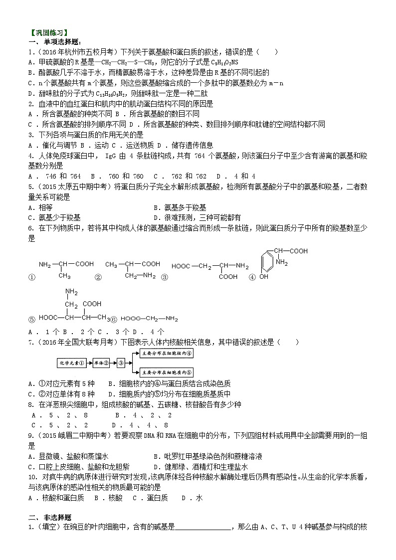 人教版高中生物必修一第三讲 组成细胞的分子：核酸和蛋白质同步练习第1页