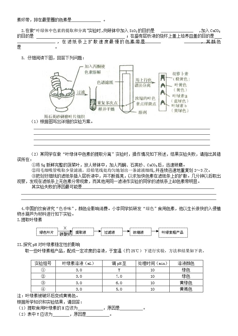 人教版高中生物必修一第十讲光合作用（一）捕获光能的色素和结构同步练习02