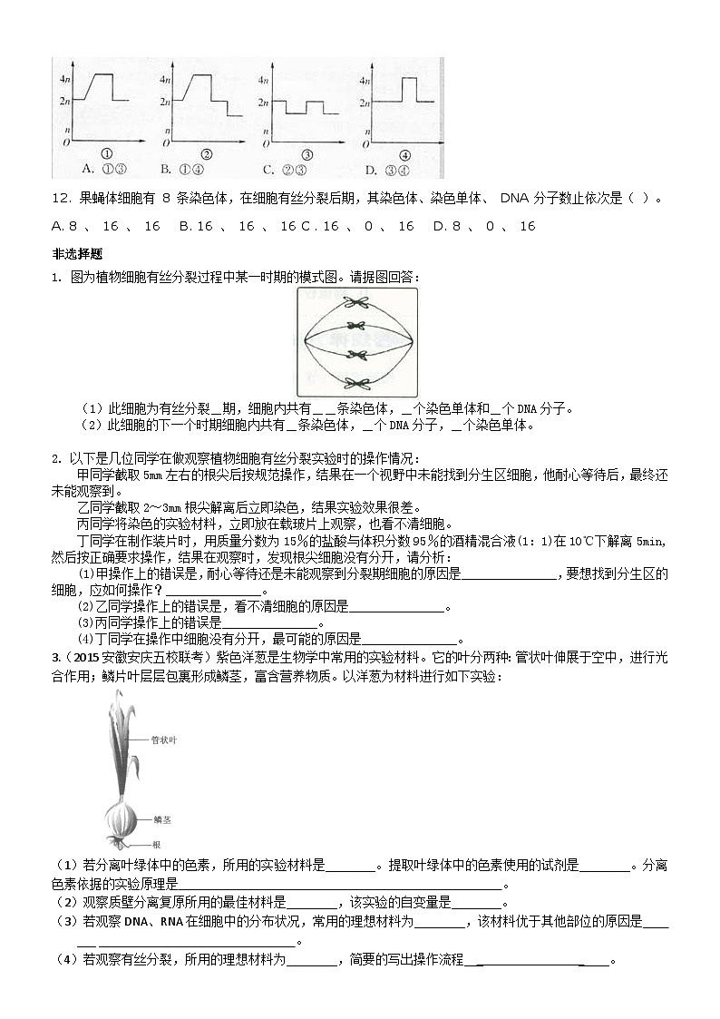 人教版高中生物必修一第十二讲细胞的增殖同步练习02
