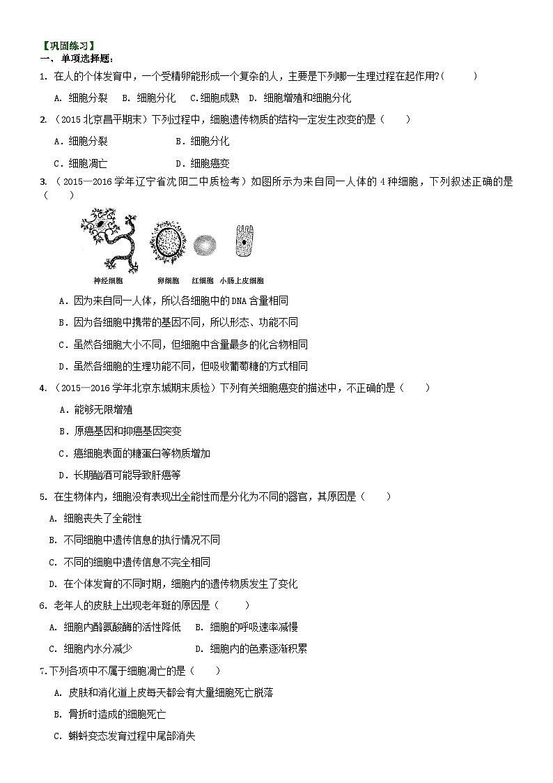 人教版高中生物必修一第十三讲细胞的分化、衰老、凋亡和癌变同步练习01