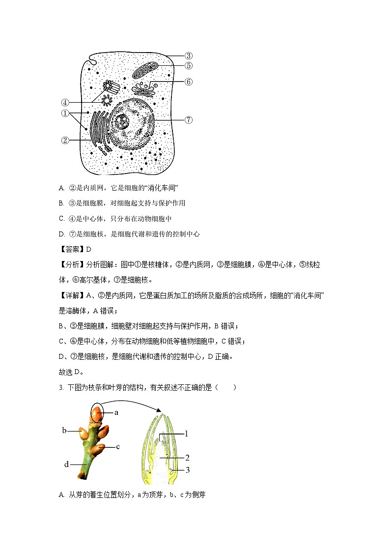 [生物]湖南省长沙市望城区第一中学2024-2025学年高一上学期开学试题(解析版)02