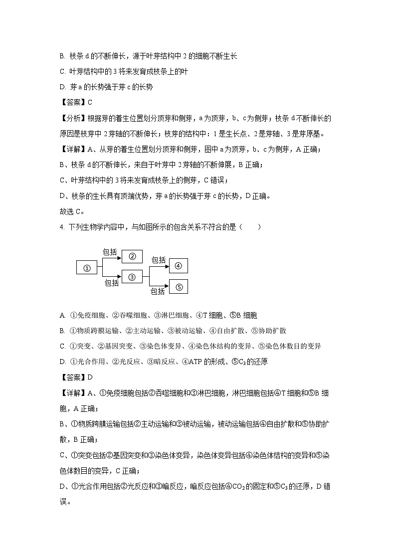 [生物]湖南省长沙市望城区第一中学2024-2025学年高一上学期开学试题(解析版)03