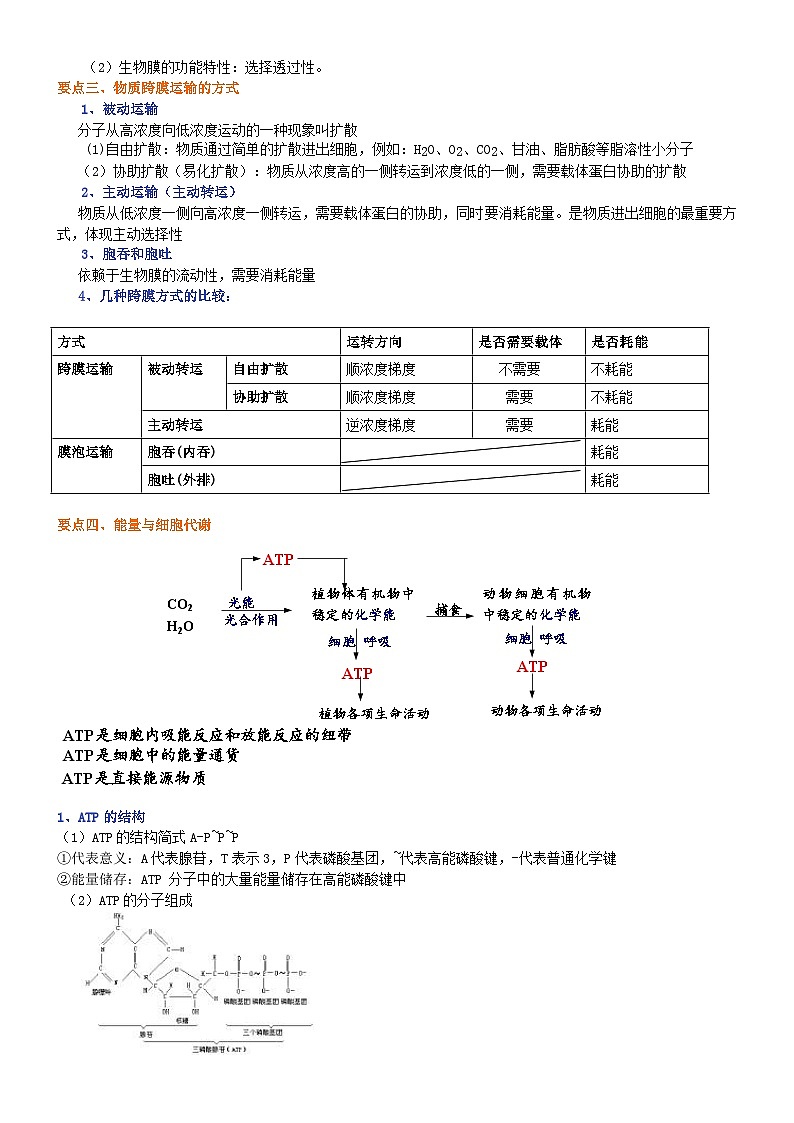 人教版高中生物必修一第六讲细胞的物质输入和输出及ATP学案03