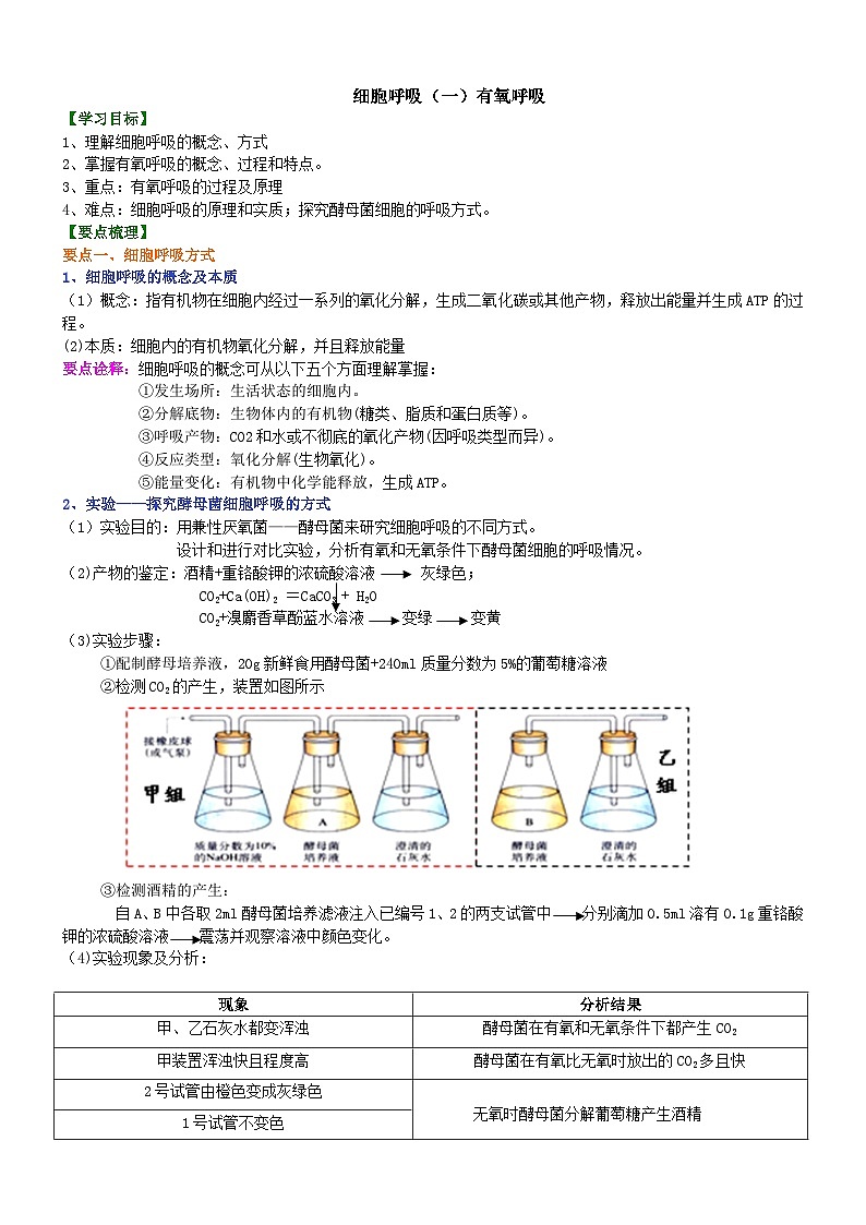 人教版高中生物必修一第八讲细胞呼吸（一）有氧呼吸学案第1页