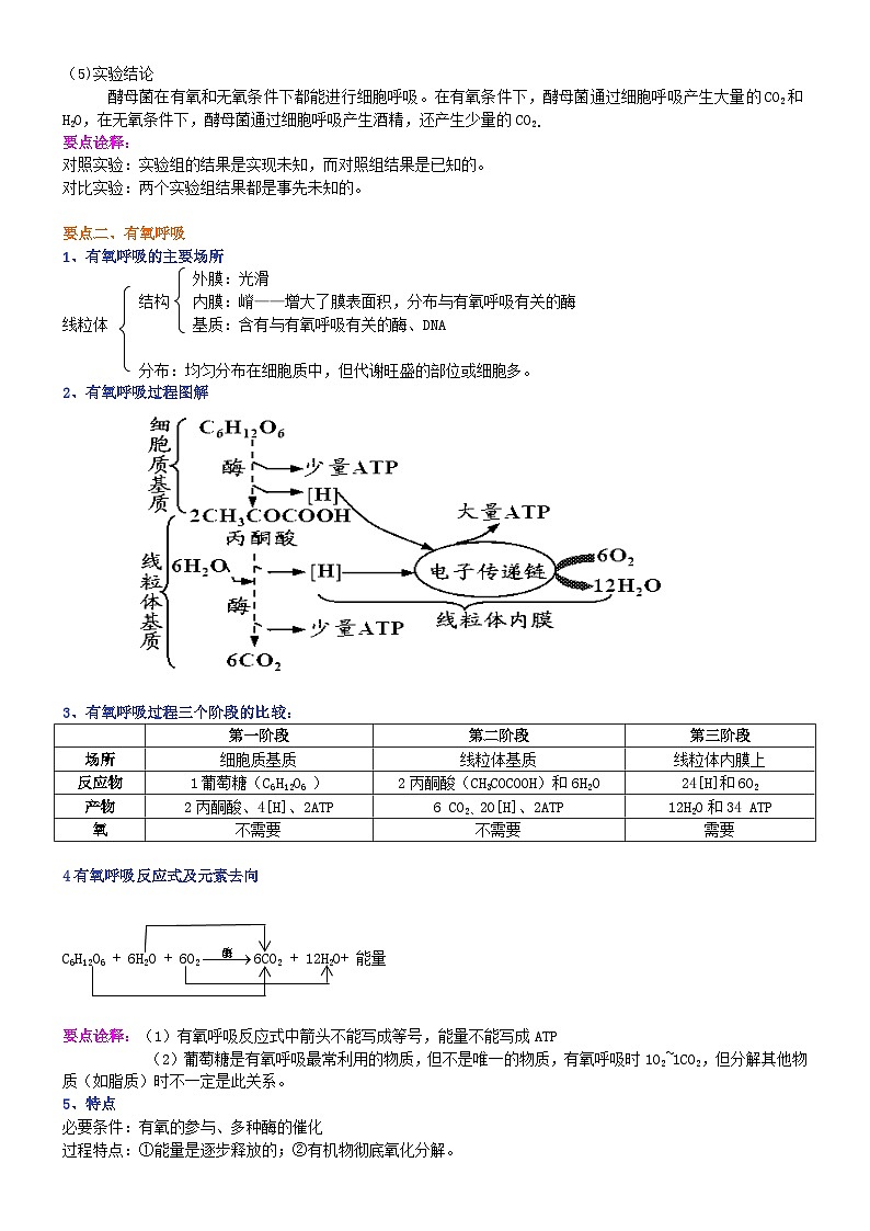 人教版高中生物必修一第八讲细胞呼吸（一）有氧呼吸学案第2页
