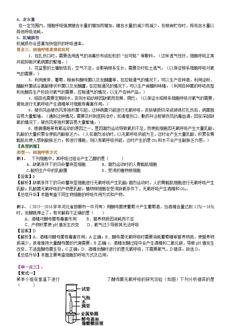 人教版高中生物必修一第九讲细胞呼吸（二）无氧呼吸及呼吸应用学案02