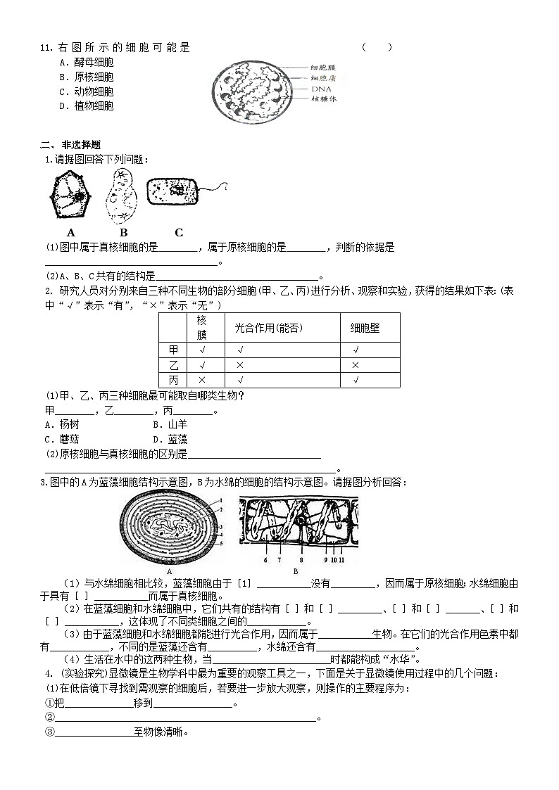 人教版高中生物必修一第一讲走进细胞学同步练习第2页