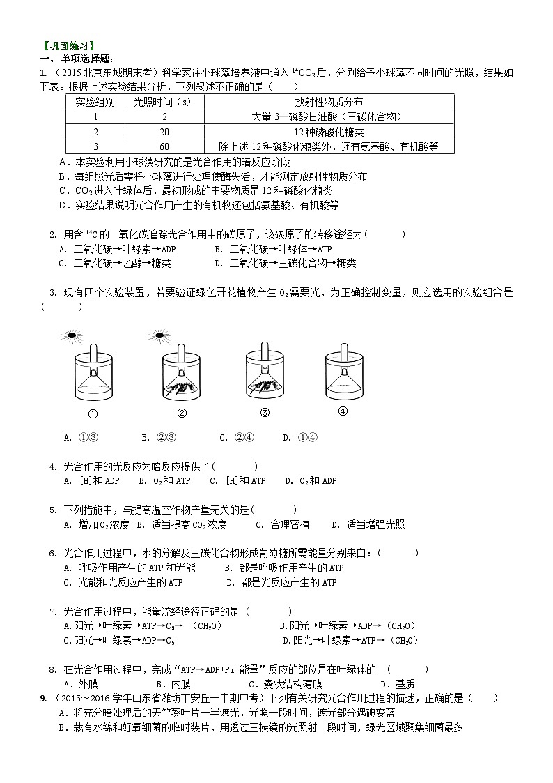 人教版高中生物必修一第十一讲光合作用（二）光合作用的原理和应用同步练习01