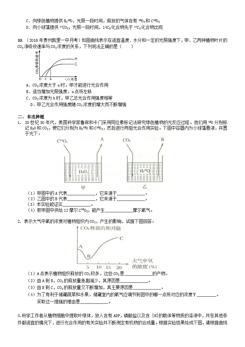 人教版高中生物必修一第十一讲光合作用（二）光合作用的原理和应用同步练习02