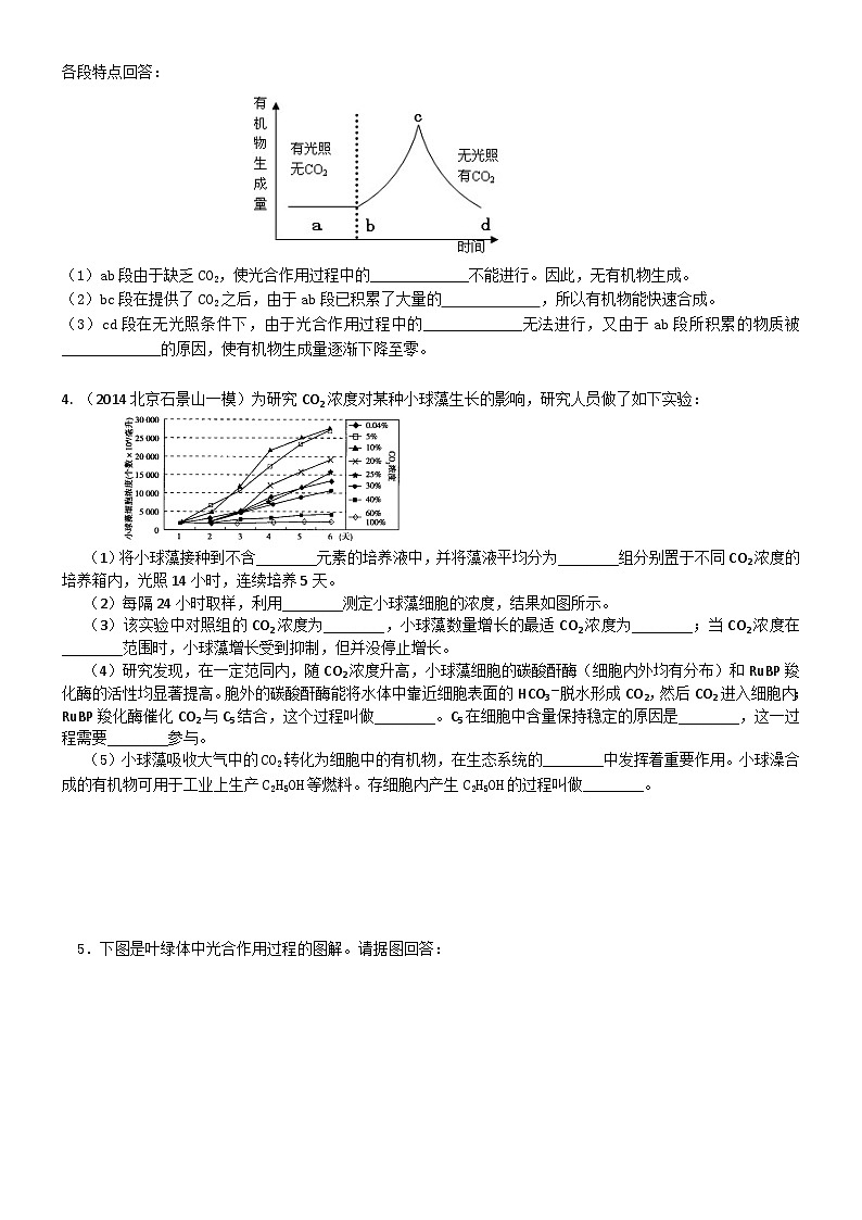 人教版高中生物必修一第十一讲光合作用（二）光合作用的原理和应用同步练习03