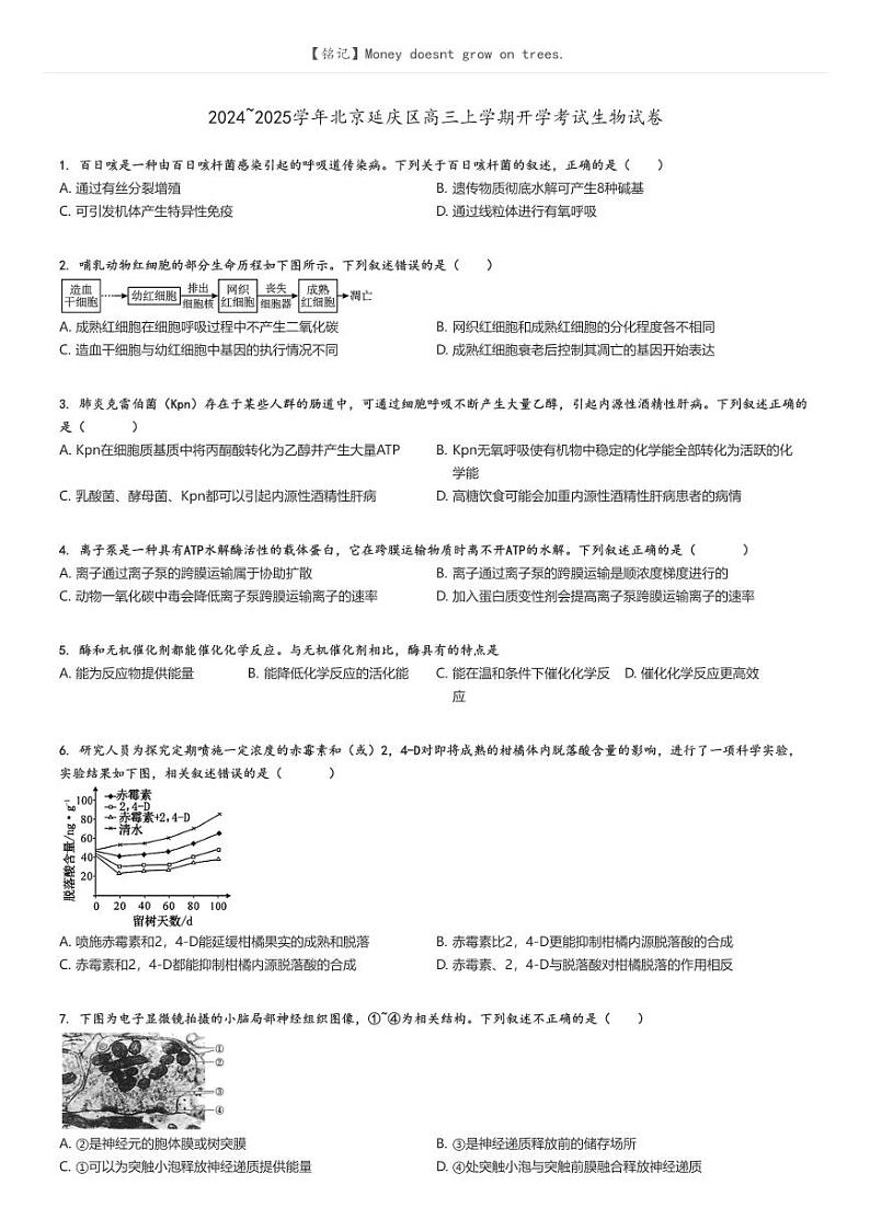 [生物]2024～2025学年北京延庆区高三上学期开学考试生物试卷原题版第1页