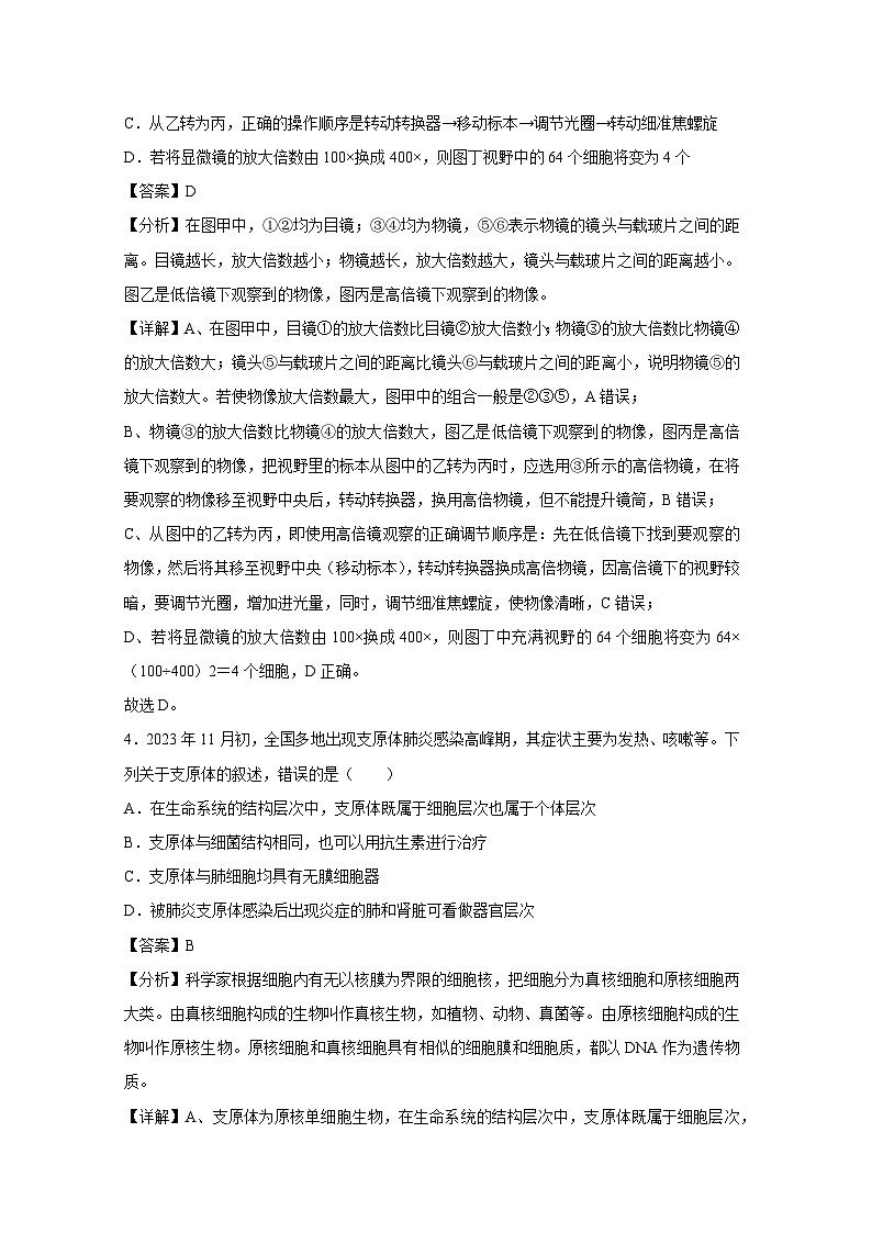 【生物】2024-2025学年高三上学期第一次月考1（新高考通用）（解析版）第3页