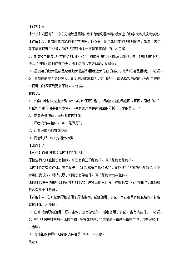【生物】2024-2025学年高三上学期第一次月考2（新高考通用）（解析版）第3页