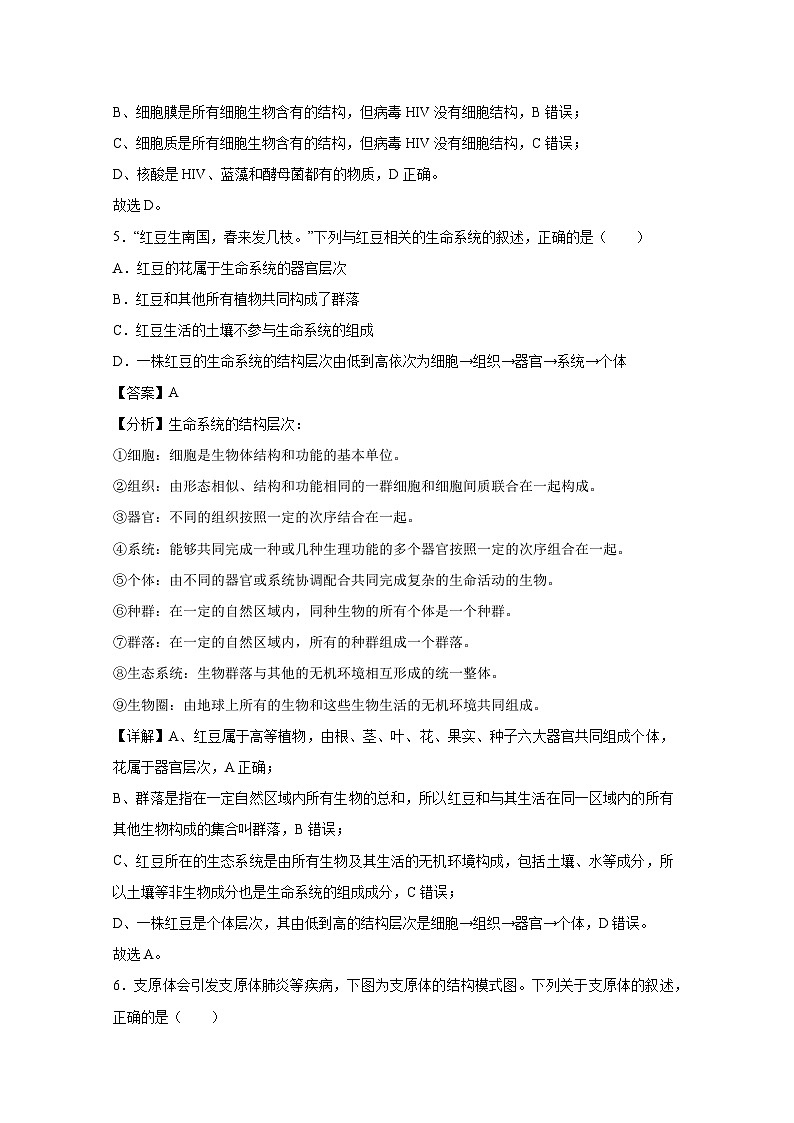 【生物】2024-2025学年高三上学期第一次月考（北京专用）（解析版）第3页
