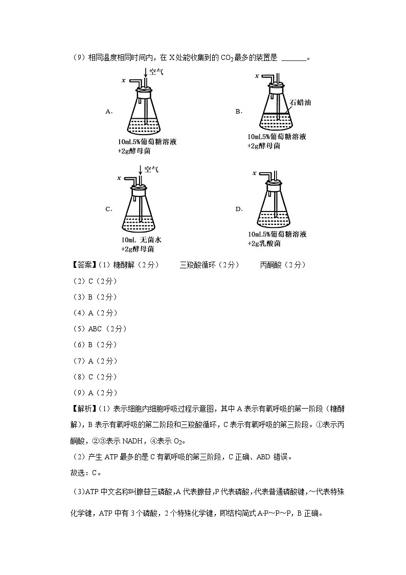 【生物】2024-2025学年高三上学期第一次月考（沪科版2020）（解析版）03