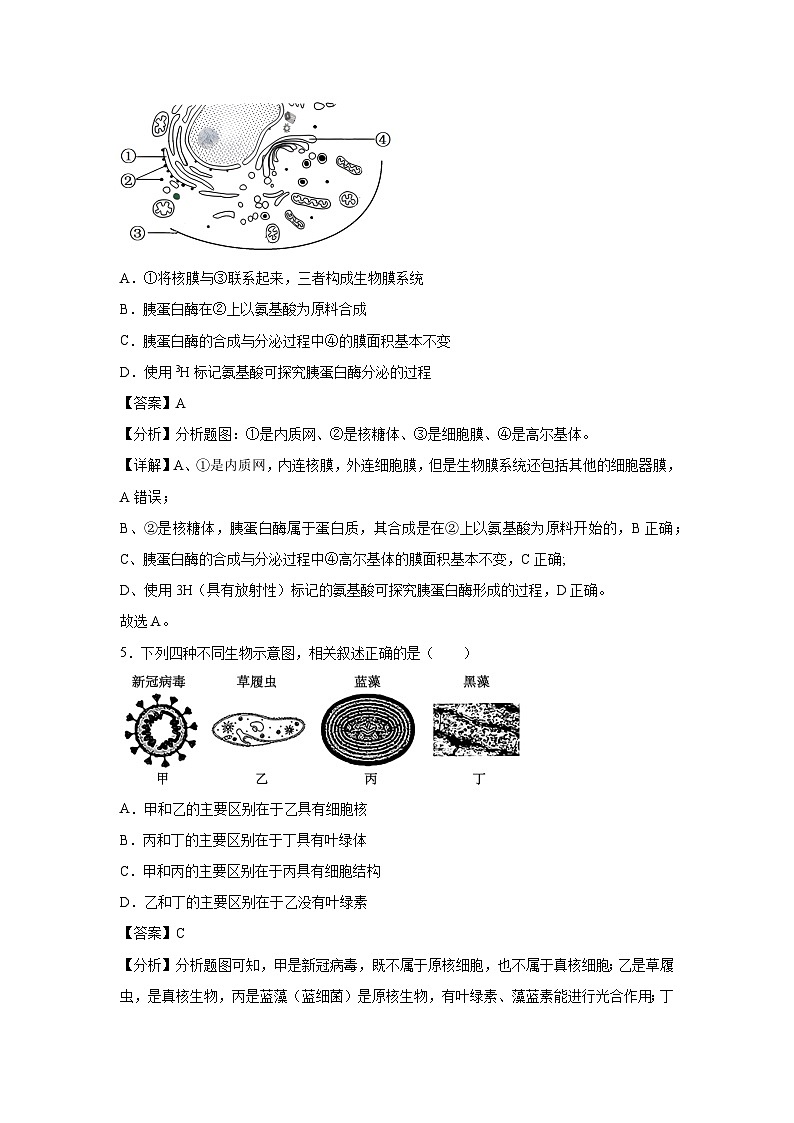 【生物】2024年新高二上学期开学摸底考试卷（浙江专用）（解析版）03