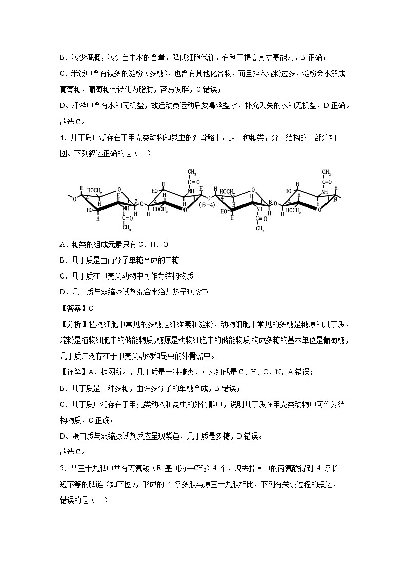 【生物】备战2024-2025学年高一生物上学期期中真题分类汇编1（广东专用）（解析版）03