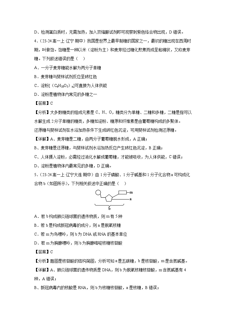【生物】备战2024-2025学年高一生物上学期期中真题分类汇编1（黑吉辽专用）（解析版）第3页