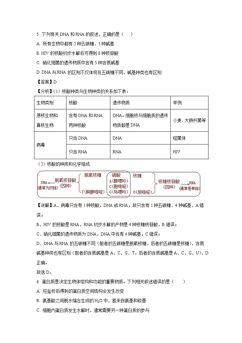 【生物】安徽省蚌埠第四中学2024—2025学年高二上学期开学考试试题（解析版）第3页
