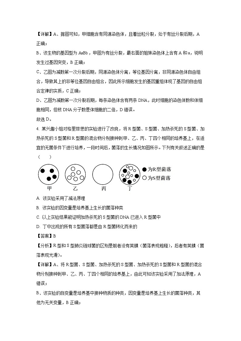 【生物】河北省保定市部分高中2024-2025学年高二上学期开学考试试题（解析版）第3页