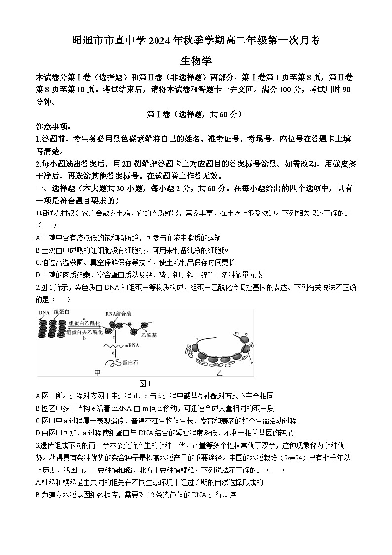 云南省昭通市市直中学2024-2025学年高二上学期第一次月考生物试题第1页