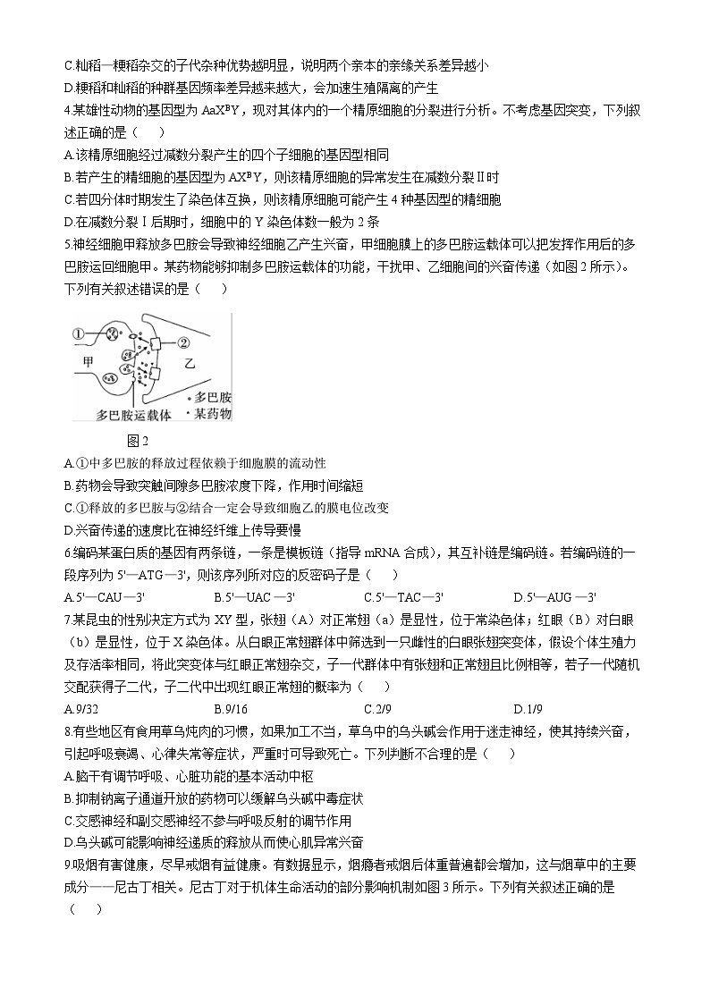 云南省昭通市市直中学2024-2025学年高二上学期第一次月考生物试题第2页
