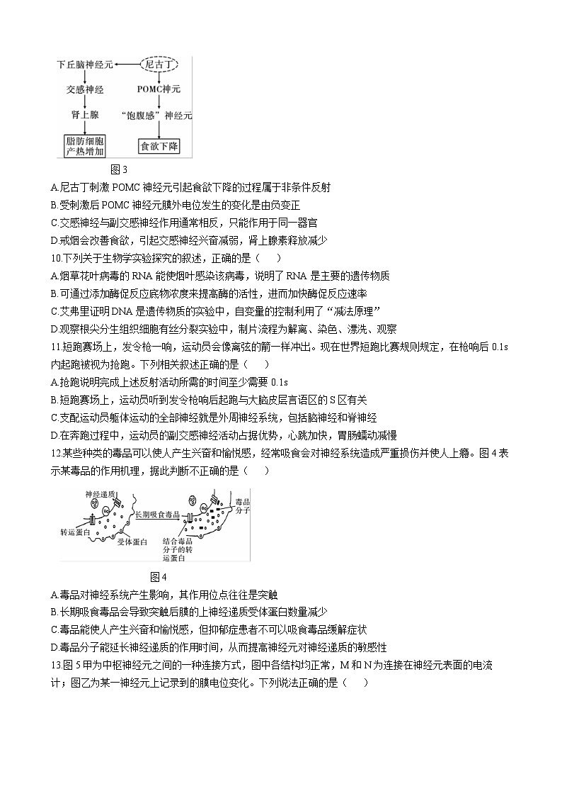 云南省昭通市市直中学2024-2025学年高二上学期第一次月考生物试题第3页
