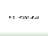 人教版高中生物选择性必修1第2章神经调节第1节神经调节的结构基础课件