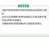 人教版高中生物选择性必修1第2章神经调节第1节神经调节的结构基础课件
