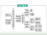 人教版高中生物选择性必修1第2章神经调节第1节神经调节的结构基础课件