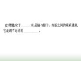 人教版高中生物选择性必修1第2章神经调节第1节神经调节的结构基础课件