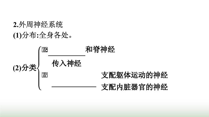 人教版高中生物选择性必修1第2章神经调节第1节神经调节的结构基础课件第6页