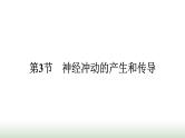 人教版高中生物选择性必修1第2章神经调节第3节神经冲动的产生和传导课件