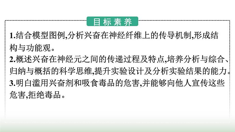 人教版高中生物选择性必修1第2章神经调节第3节神经冲动的产生和传导课件第2页