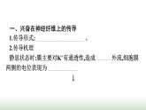 人教版高中生物选择性必修1第2章神经调节第3节神经冲动的产生和传导课件