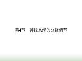 人教版高中生物选择性必修1第2章神经调节第4节神经系统的分级调节课件