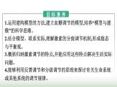 人教版高中生物选择性必修1第3章体液调节第2节激素调节的过程课件