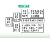 人教版高中生物选择性必修1第3章体液调节第2节激素调节的过程课件