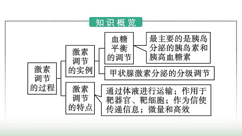 人教版高中生物选择性必修1第3章体液调节第2节激素调节的过程课件第3页