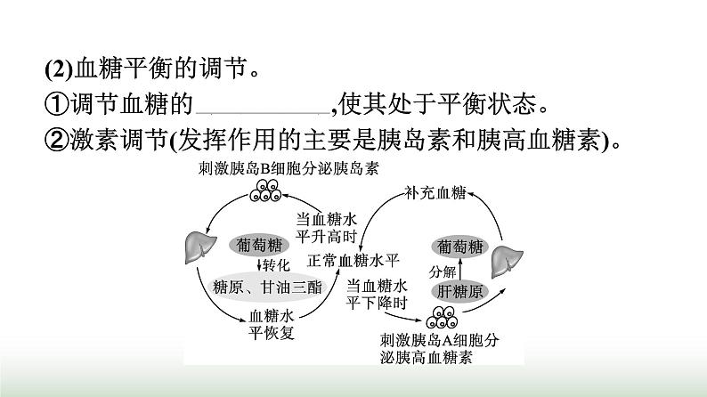 人教版高中生物选择性必修1第3章体液调节第2节激素调节的过程课件第5页