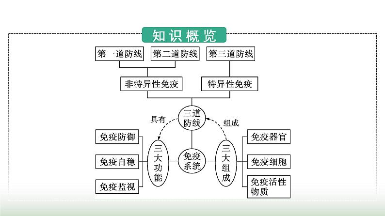 人教版高中生物选择性必修1第4章免疫调节第1节免疫系统的组成和功能课件第3页