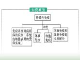人教版高中生物选择性必修1第4章免疫调节第2节特异性免疫课件