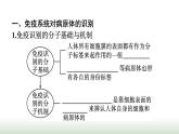 人教版高中生物选择性必修1第4章免疫调节第2节特异性免疫课件
