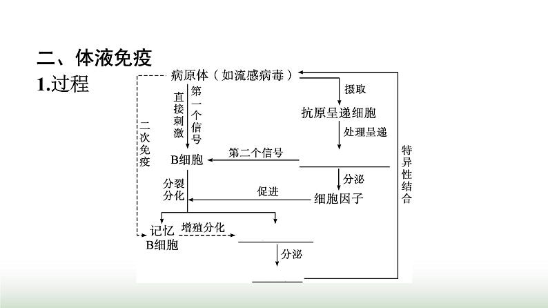 人教版高中生物选择性必修1第4章免疫调节第2节特异性免疫课件第6页