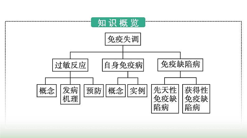 人教版高中生物选择性必修1第4章免疫调节第3节免疫失调课件第3页