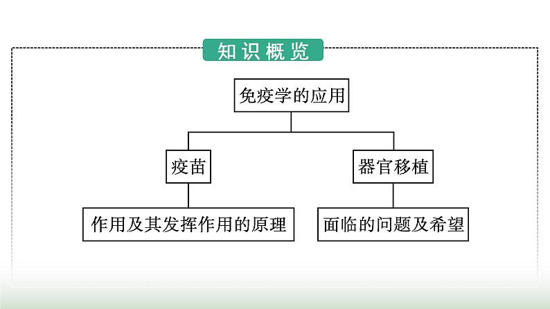 人教版高中生物选择性必修1第4章免疫调节第4节免疫学的应用课件第3页