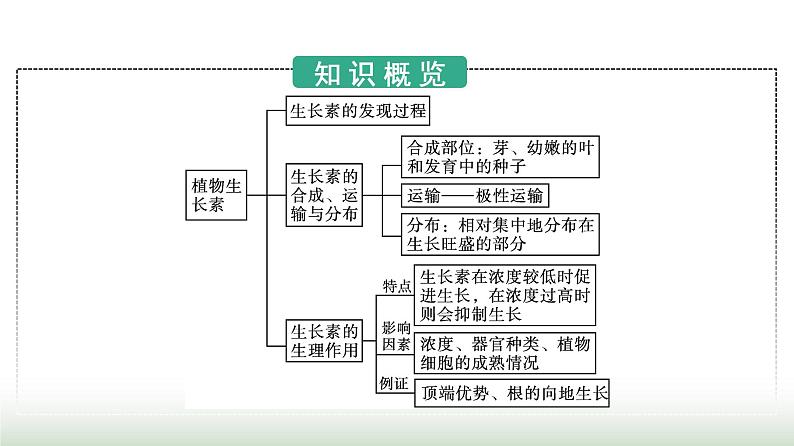 人教版高中生物选择性必修1第5章植物生命活动的调节第1节植物生长素课件第3页